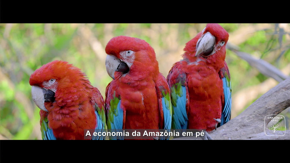 Amazônia Care - Manifesto
